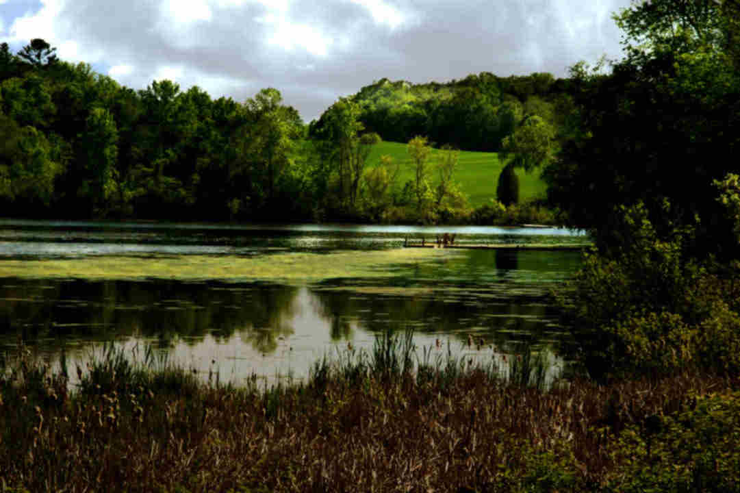 wisconsin pond on a cloudy day